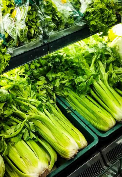 کرفس سبز پر آب مناسب تهیه خورش کرفس اصیل ایرانی